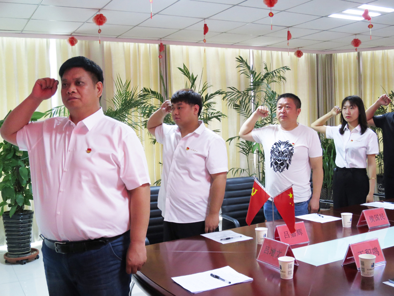 亿佳源建设有限公司党员主题教育活动